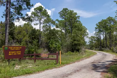 27 E Point Washington Road, Santa Rosa Beach, FL 32459 - Photo 6