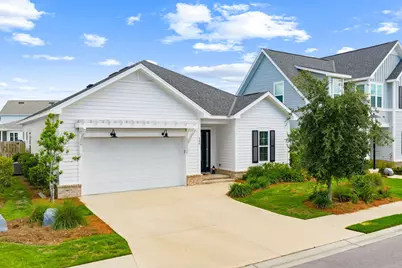 140 Suwannee Drive, Inlet Beach, FL 32461 - Photo 1
