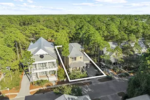 144 Royal Fern Way, Santa Rosa Beach, FL 32459 - Photo 4
