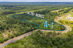 A-1 Long Branch Farm Rd, Baker, FL 32531 - Photo 1