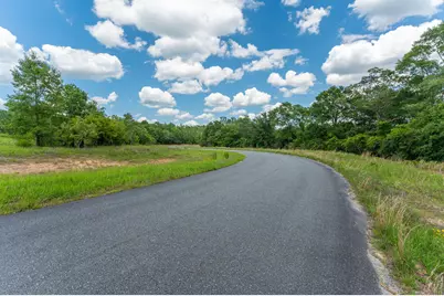 A-1 Long Branch Farm Road, Baker, FL 32531 - Photo 14