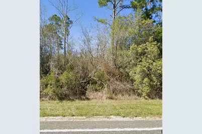 Tbd Highway 231, Fountain, FL 32438 - Photo 2