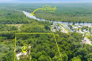58 Blue Gill Rd, Freeport, FL 32439 - Photo 1