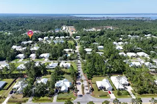 109 Sun Bear Cir, Freeport, FL 32439 - Photo 50