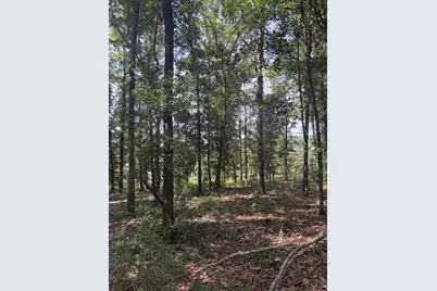 Lot 43 Seacoast Way, Defuniak Springs, FL 32433 - Photo 28