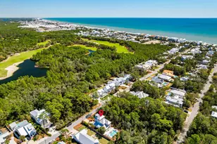 349 Seacrest Dr, Inlet Beach, FL 32461 - Photo 56
