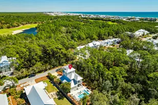 349 Seacrest Dr, Inlet Beach, FL 32461 - Photo 54