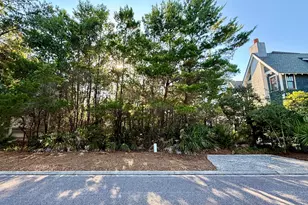 Xx Coppersmith Ln, Inlet Beach, FL 32461 - Photo 1