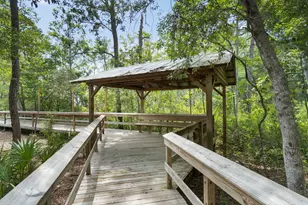 221 Sweet Tea Ln, Freeport, FL 32439 - Photo 60