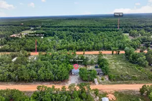 226 E Cypress Ave, Defuniak Springs, FL 32433 - Photo 22