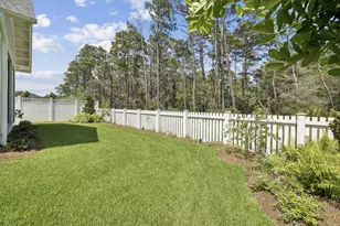 113 E Pollard Cove, Inlet Beach, FL 32461 - Photo 48