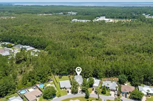 131 White Heron Dr, Santa Rosa Beach, FL 32459 - Photo 30