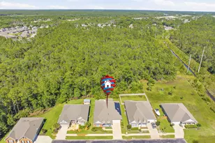 19 Buddy Ln, Santa Rosa Beach, FL 32459 - Photo 66