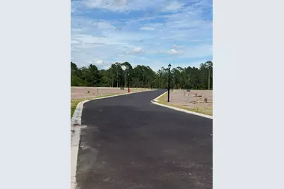Lot 2 Pine Branch Ct, Port Saint Joe, FL 32456 - Photo 4