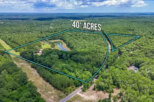 6199 Lake Ella Rd, Crestview, FL 32539 - Photo 6