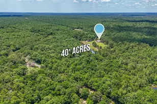 6199 Lake Ella Rd, Crestview, FL 32539 - Photo 58