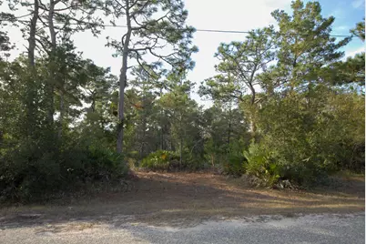 Lot 15 Sugar Cove Road, Santa Rosa Beach, FL 32459 - Photo 4