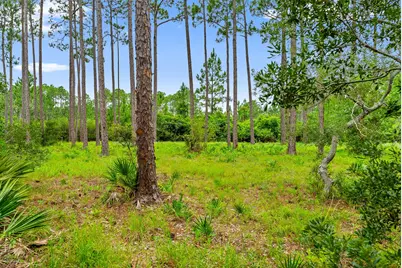 6307 River House Drive, Panama City Beach, FL 32413 - Photo 10