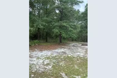 127 W Orange Blossom Avenue, Defuniak Springs, FL 32433 - Photo 16