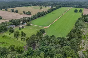 8116 Hwy 393 Hwy, Laurel Hill, FL 32567 - Photo 14