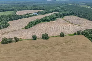 8116 Hwy 393 Hwy, Laurel Hill, FL 32567 - Photo 20