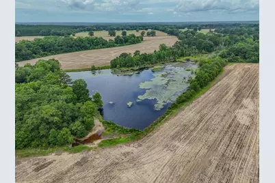 8116 Highway 393 Highway, Laurel Hill, FL 32567 - Photo 10