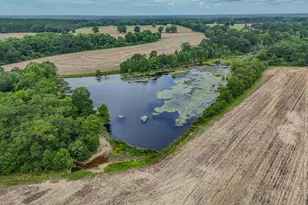 8116 Hwy 393 Hwy, Laurel Hill, FL 32567 - Photo 10