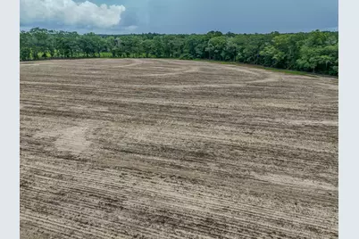 8116 Highway 393 Highway, Laurel Hill, FL 32567 - Photo 18