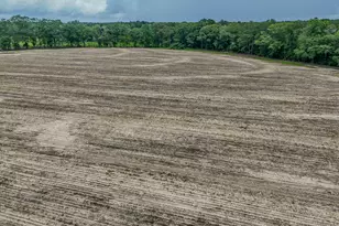 8116 Hwy 393 Hwy, Laurel Hill, FL 32567 - Photo 18
