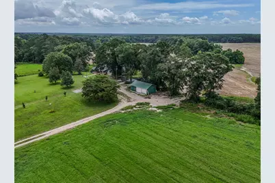 8116 Highway 393 Highway, Laurel Hill, FL 32567 - Photo 4