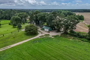 8116 Hwy 393 Hwy, Laurel Hill, FL 32567 - Photo 4
