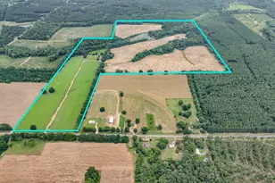 8116 Hwy 393 Hwy, Laurel Hill, FL 32567 - Photo 8