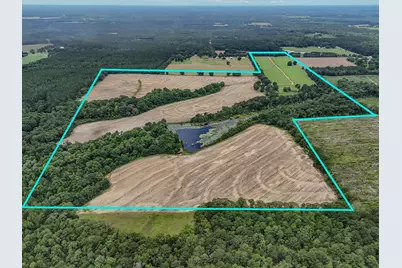 8116 Highway 393 Highway, Laurel Hill, FL 32567 - Photo 2