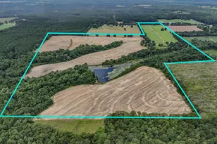 8116 Hwy 393 Hwy, Laurel Hill, FL 32567 - Photo 2
