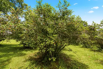 8116 Highway 393 Highway, Laurel Hill, FL 32567 - Photo 56