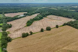 8116 Hwy 393 Hwy, Laurel Hill, FL 32567 - Photo 16