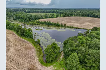 8116 Highway 393 Highway, Laurel Hill, FL 32567 - Photo 6