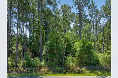 1.19 Acres Mary Kitchens Road, Milton, FL 32583 - Photo 8