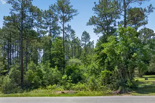 1 31 Acres Mary Kitchens Rd, Milton, FL 32583 - Photo 1