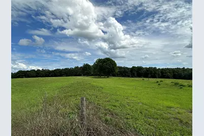 G & H County Road 20 / New Ebenezer Road, Florala, AL 36442 - Photo 22