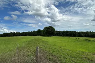 G & H County Road 20 / New Ebenezer Rd, Florala, AL 36442 - Photo 22