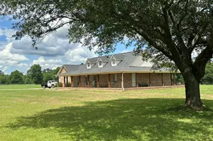 G & H County Road 20 / New Ebenezer Rd, Florala, AL 36442 - Photo 4