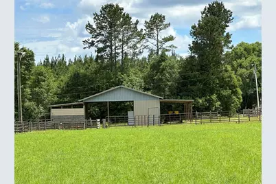 G & H County Road 20 / New Ebenezer Road, Florala, AL 36442 - Photo 50