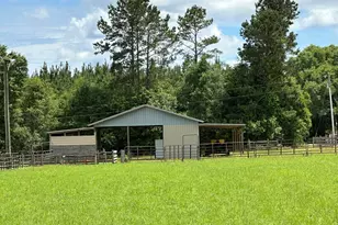 G & H County Road 20 / New Ebenezer Rd, Florala, AL 36442 - Photo 50