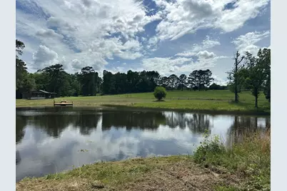 G & H County Road 20 / New Ebenezer Road, Florala, AL 36442 - Photo 16
