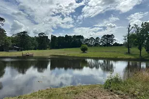 G & H County Road 20 / New Ebenezer Rd, Florala, AL 36442 - Photo 16