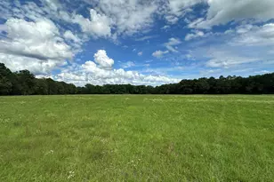 G & H County Road 20 / New Ebenezer Rd, Florala, AL 36442 - Photo 28
