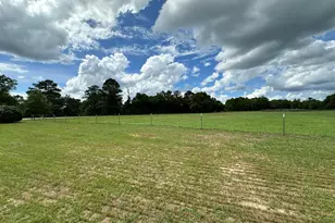 G & H County Road 20 / New Ebenezer Rd, Florala, AL 36442 - Photo 8