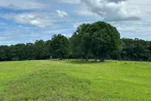 G & H County Road 20 / New Ebenezer Rd, Florala, AL 36442 - Photo 24