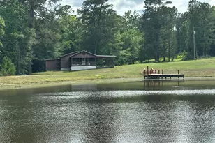 G & H County Road 20 / New Ebenezer Rd, Florala, AL 36442 - Photo 20